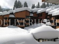 Appartamento in vendita a Pinzolo(TN)