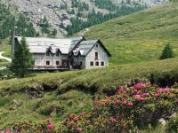 Attivit&agrave; / Licenza in vendita a Lanzada(SO)