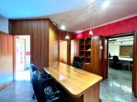 Attivit&agrave; / Licenza in vendita a Santo Stefano di Cadore(BL)