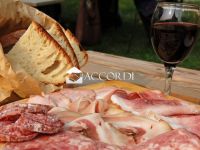 Attivit&agrave; / Licenza in vendita a Vittorio Veneto(TV)