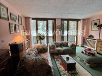 Appartamento in vendita a Pinzolo(TN)