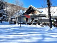 Appartamento in vendita a Limone Piemonte(CN)