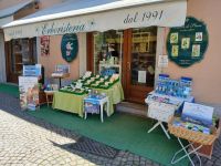 Attività / Licenza in vendita a Stresa(VB)