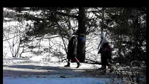 Passeggiata nel bosco