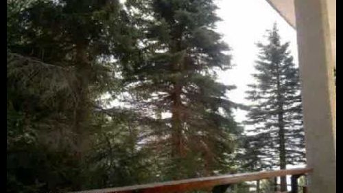 prato nevoso affittasi appartamento