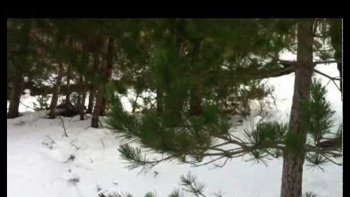 Villaggio palumbo ice team crew 20/01/2013