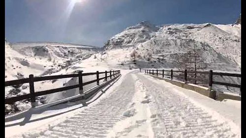 J-wild: james grylls e la neve affamata