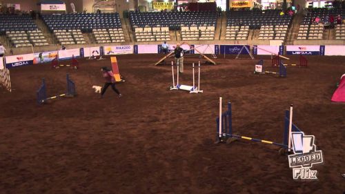 Tommy biathlon standard cynosport 2015