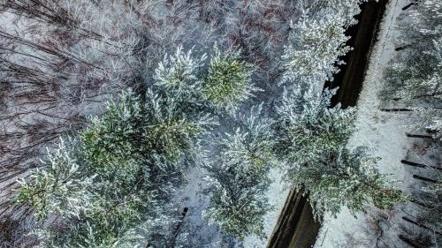 Ovindoli Sleddog Race 2015