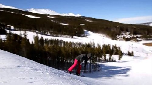 Michelle zeller - double wildcat