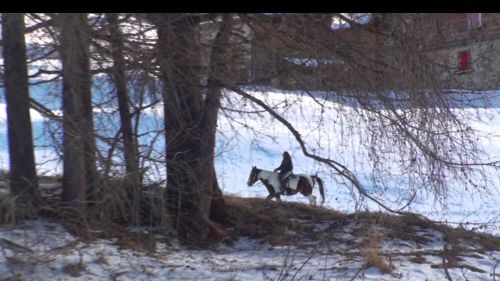 Gopro snowboard livigno