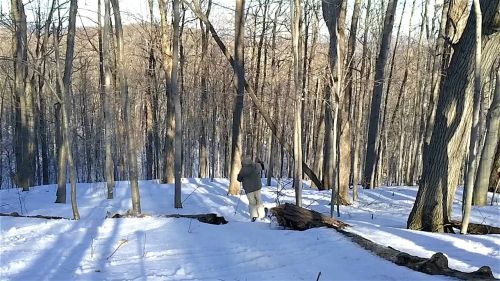 Altai kom telemark skiing xcd backcountry k?m tele ski hd