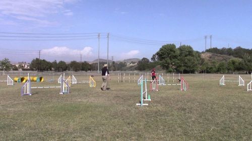 Stripe - sw reg 2016 - biathlon jumping - 1st pl