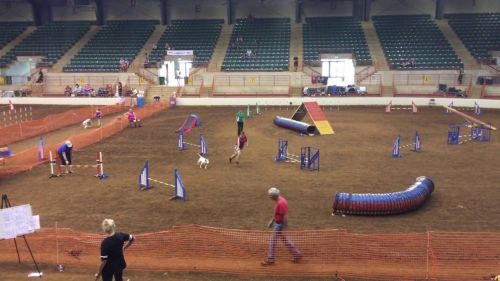 Dú biathlon standard