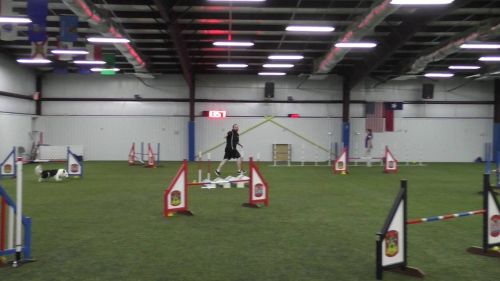 Bacardi dgf biathlon jumpers