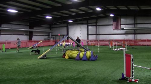 Finn biathlon standard