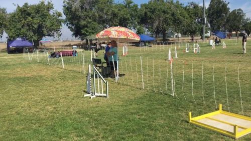 Jennifer marks and secret biathlon 7/8/2016