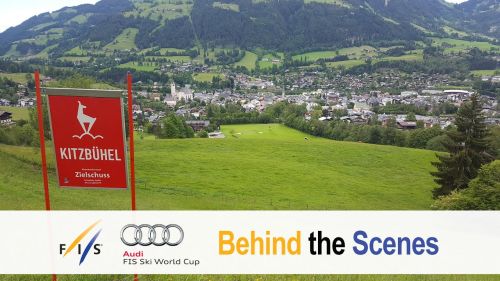 Structures and synergies in the world cup - fis alpine