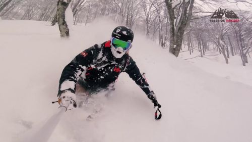 Daily journal - freeride hakuba 4* 2017 - fwq17