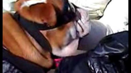 Iso con gli occhiali sulla neve a moena