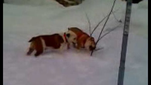 Moto 0100valentino e clara a moena