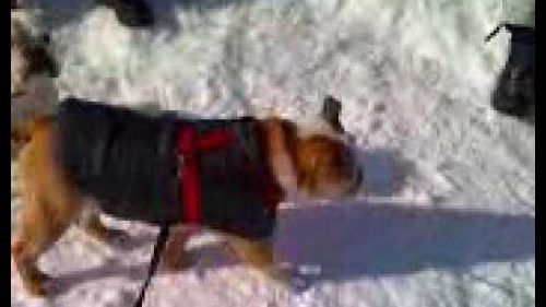 Moto 0105vacanze con i bulli a moena