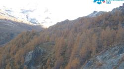 Webcam Punta Jolanda