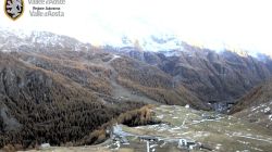 Webcam Pista Nera Bettaforca Gressoney