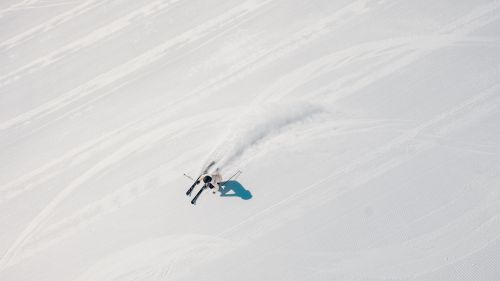 Rossignol nova, carving elegance