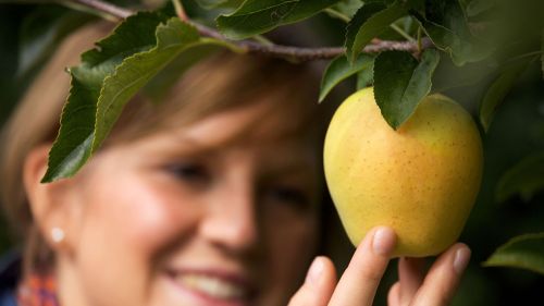 Melinda, un prodotto di qualità