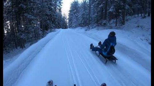 Discesa in slittino dal Monte Baranci - sci e famiglie