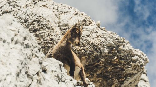 Credits: Theocharis-Druml