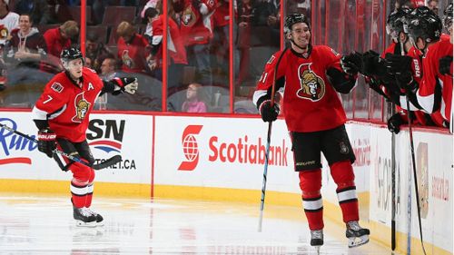 Grande rete di stone contro i predators