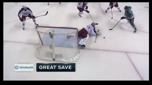 Una parata di bobrovski